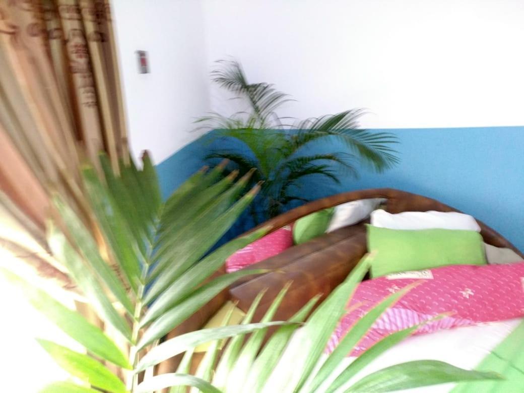 Elizz Guest House Janman ภายนอก รูปภาพ